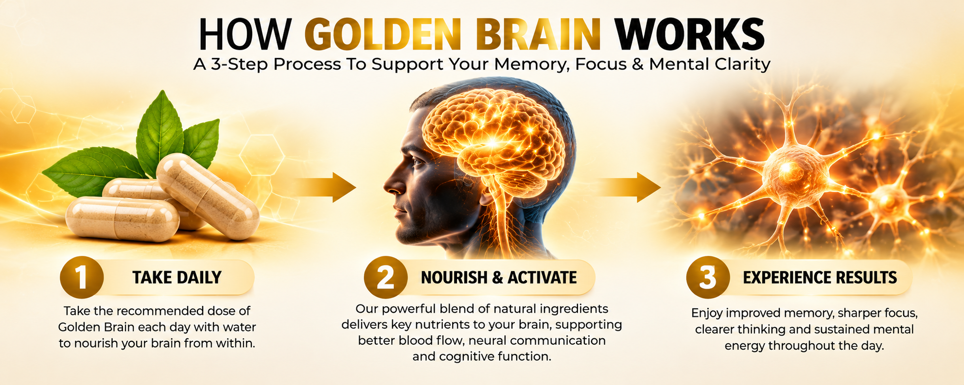 How GoldenBrain works: a 3-step process of taking the daily capsule, the formula nourishing and activating the brain, and experiencing improved memory, focus and mental clarity